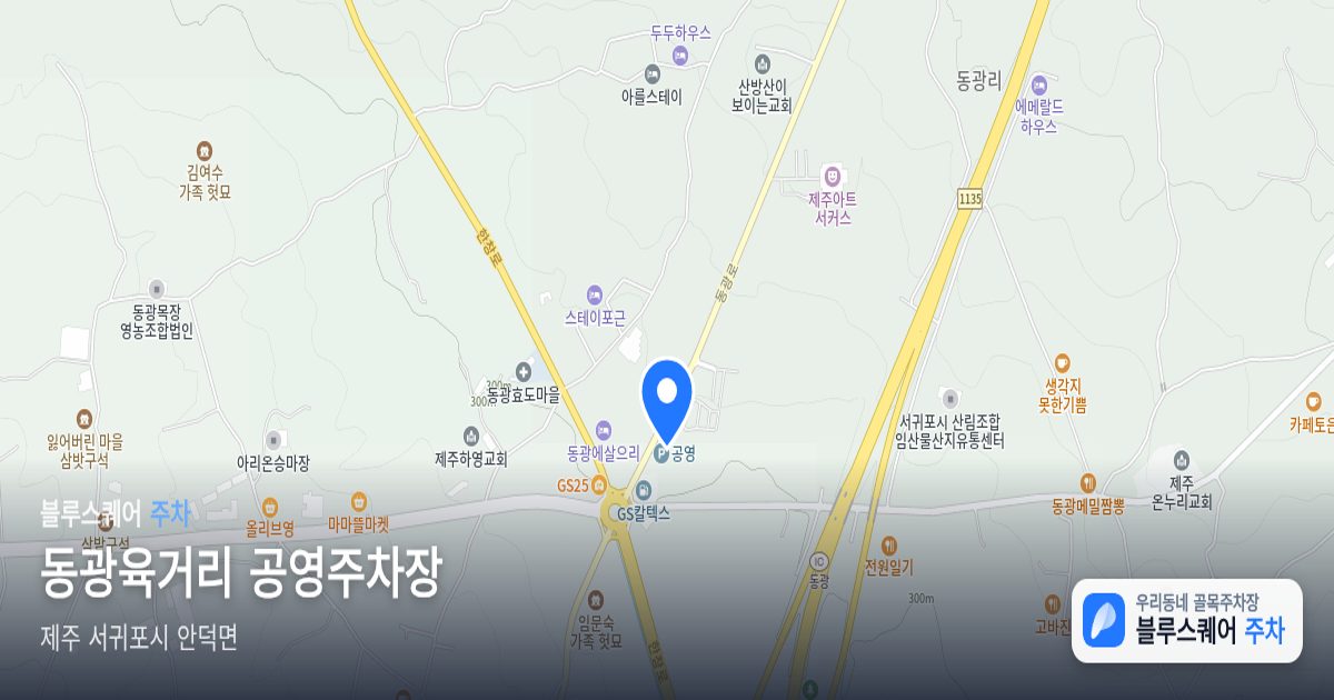 동광육거리 공영주차장 위치 지도