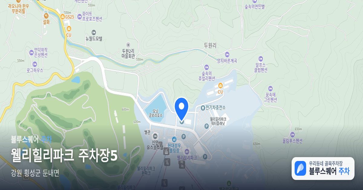 웰리힐리파크 주차장5 위치 지도