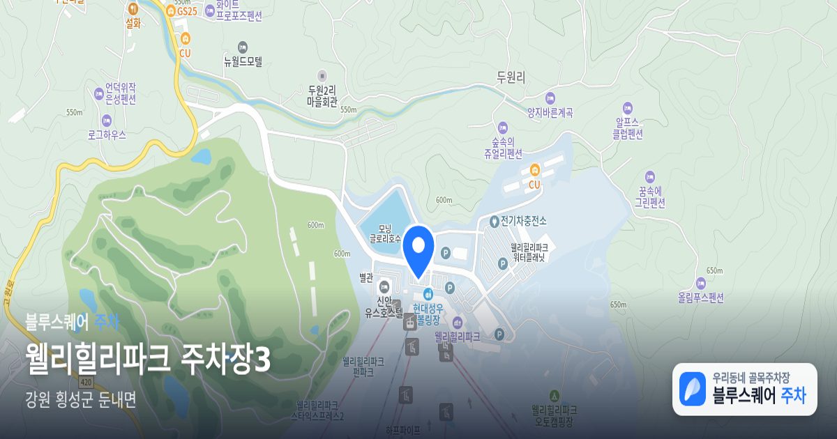 웰리힐리파크 주차장3 위치 지도