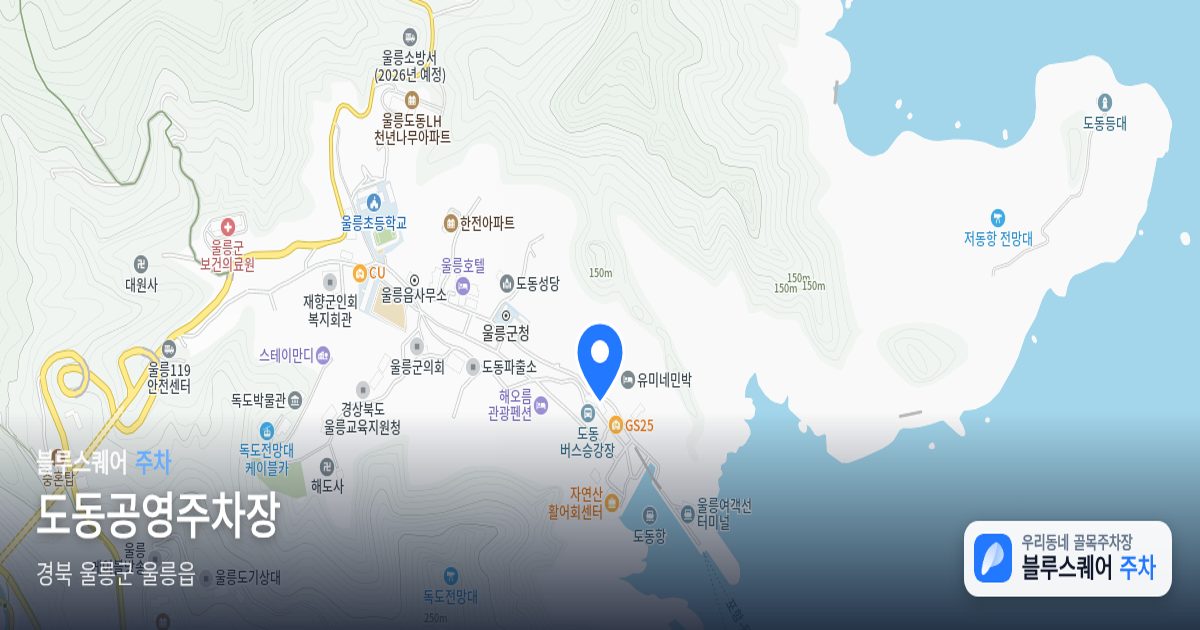 도동공영주차장 위치 지도