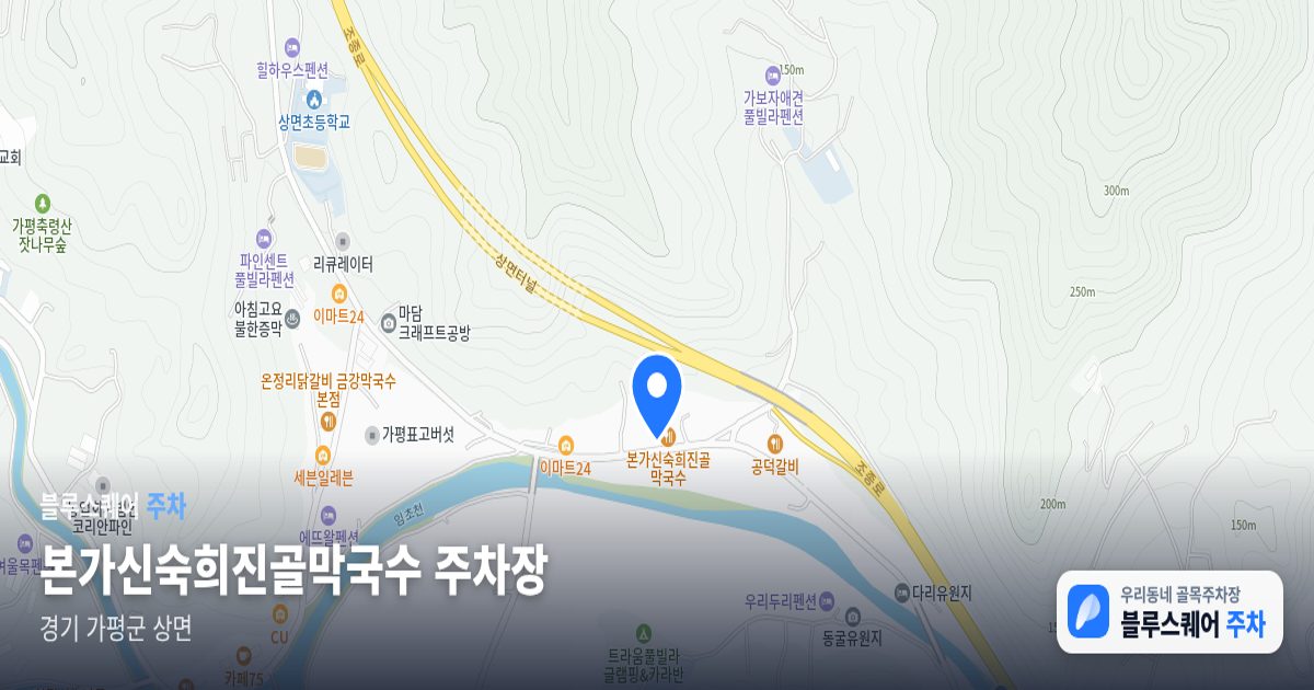 본가신숙희진골막국수 주차장 위치 지도