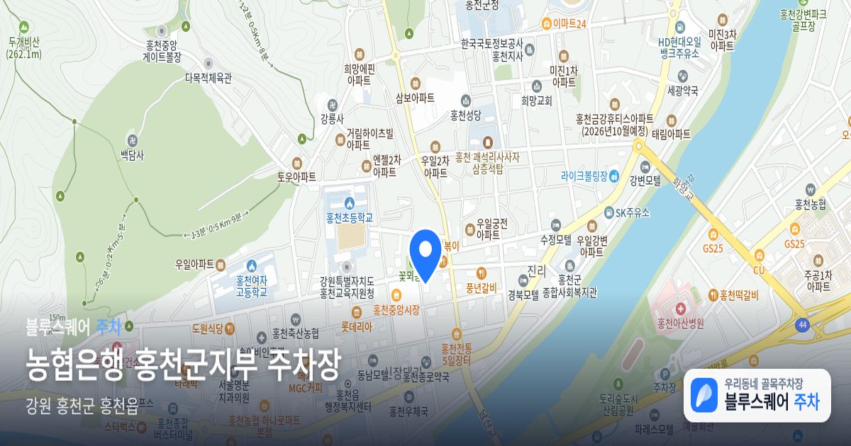 농협은행 홍천군지부 주차장 위치 지도