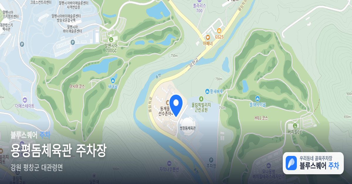 용평돔체육관 주차장 위치 지도