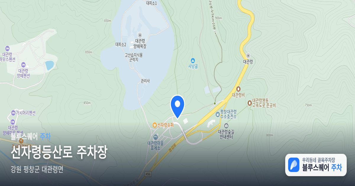 선자령등산로 주차장 위치 지도