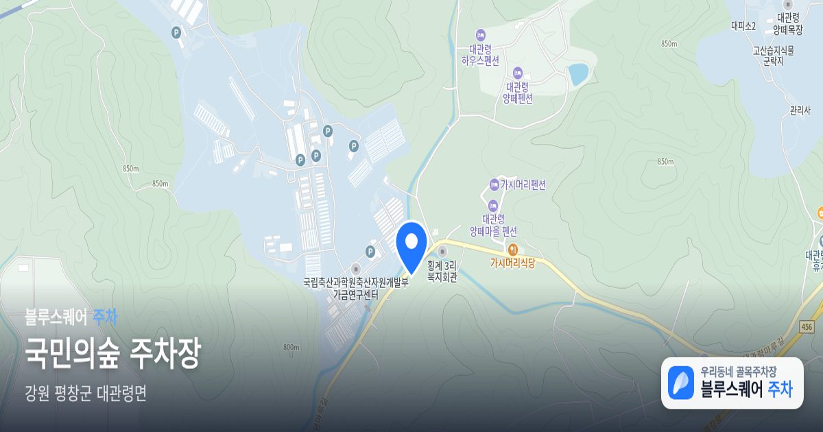 국민의숲 주차장 위치 지도