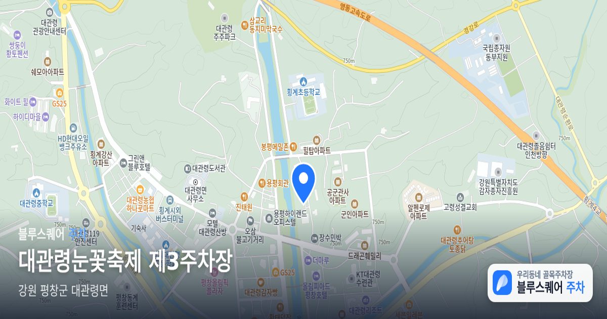 대관령눈꽃축제 제3주차장 위치 지도