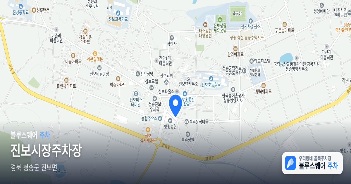 진보시장주차장 위치 지도