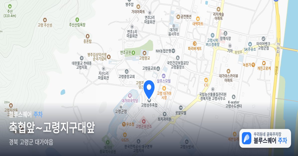 축협앞~고령지구대앞 위치 지도