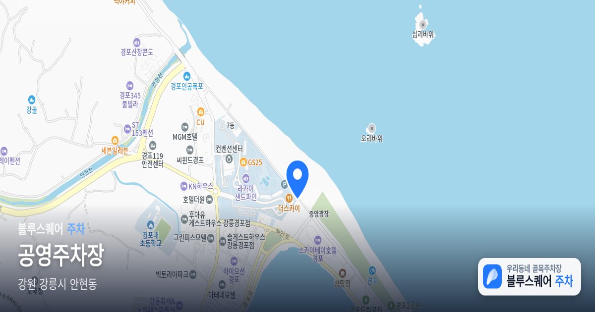 공영주차장 위치 지도