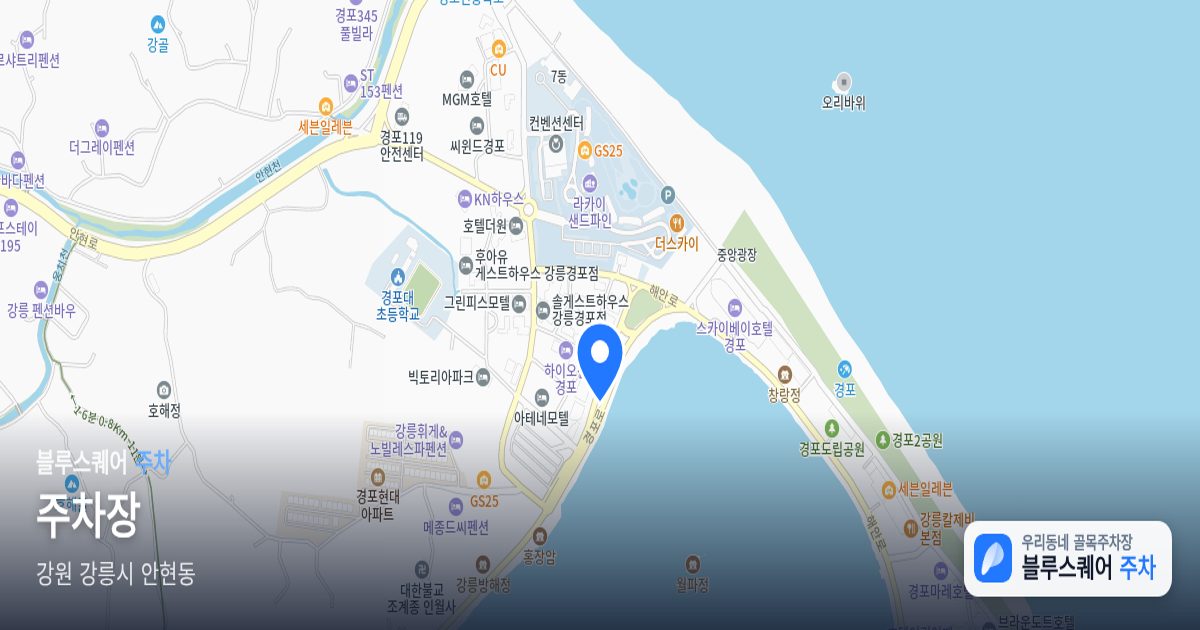 주차장 위치 지도