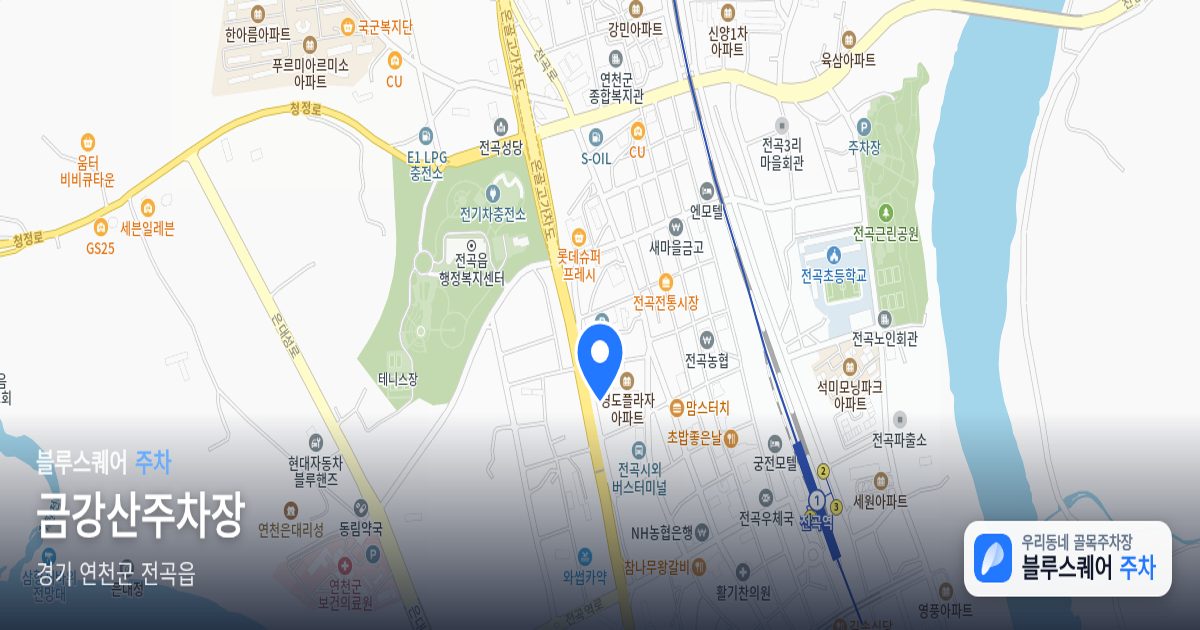 금강산주차장 위치 지도