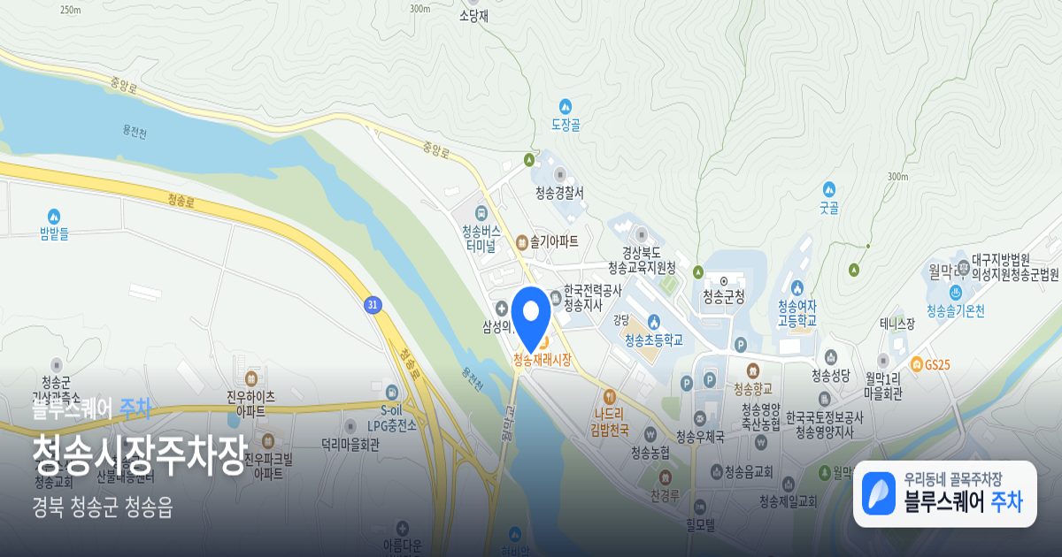청송시장주차장 위치 지도