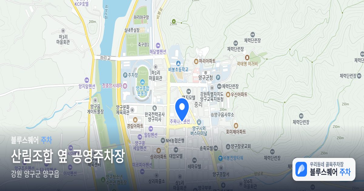 산림조합 옆 공영주차장 위치 지도
