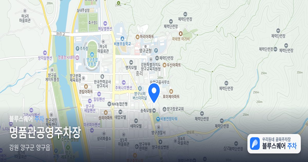 명품관공영주차장 위치 지도