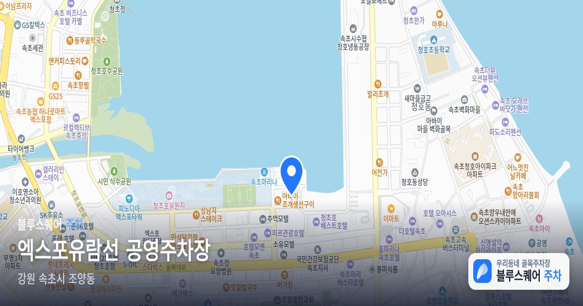 엑스포유람선 공영주차장 위치 지도