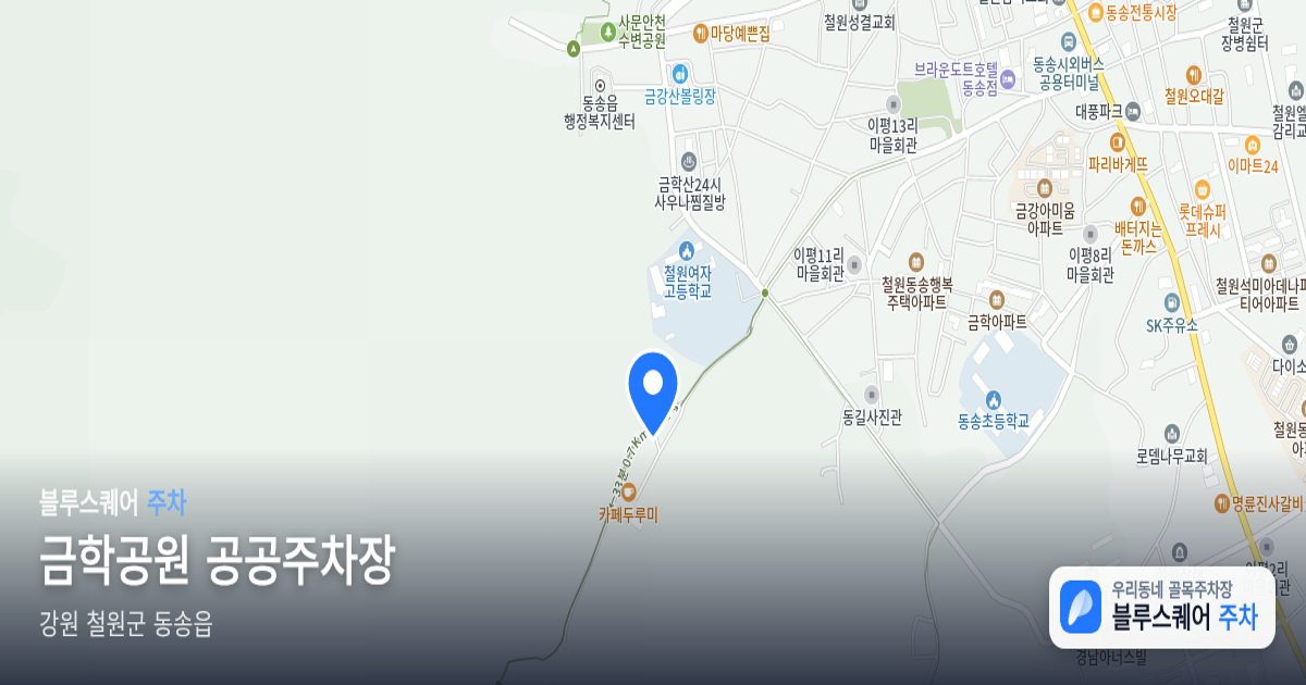 금학공원 공공주차장 위치 지도