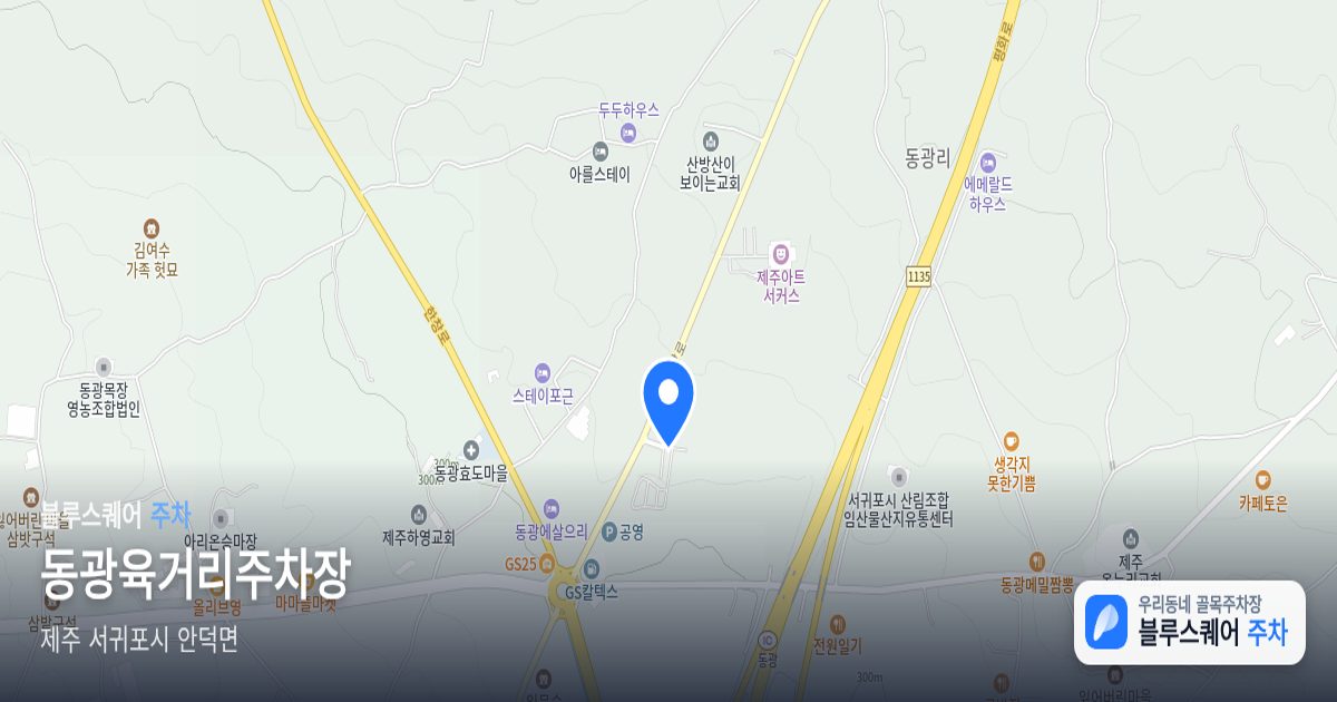 동광육거리주차장 위치 지도