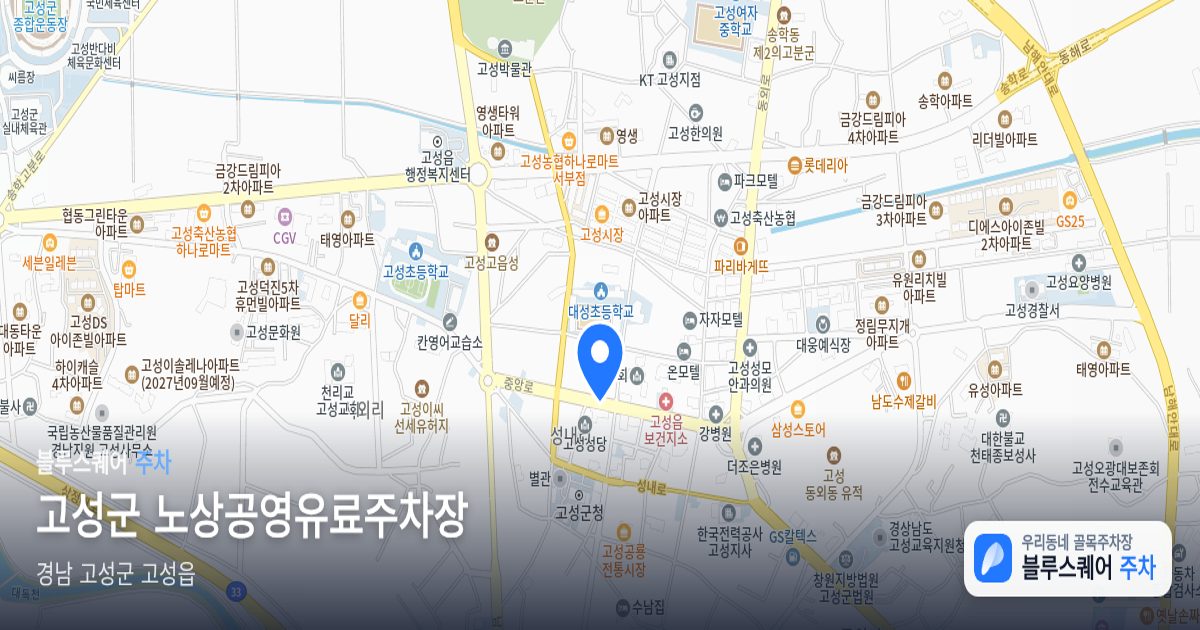 고성군 노상공영유료주차장 위치 지도