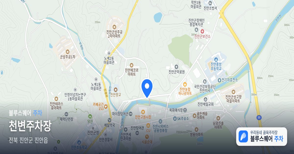 천변주차장 위치 지도