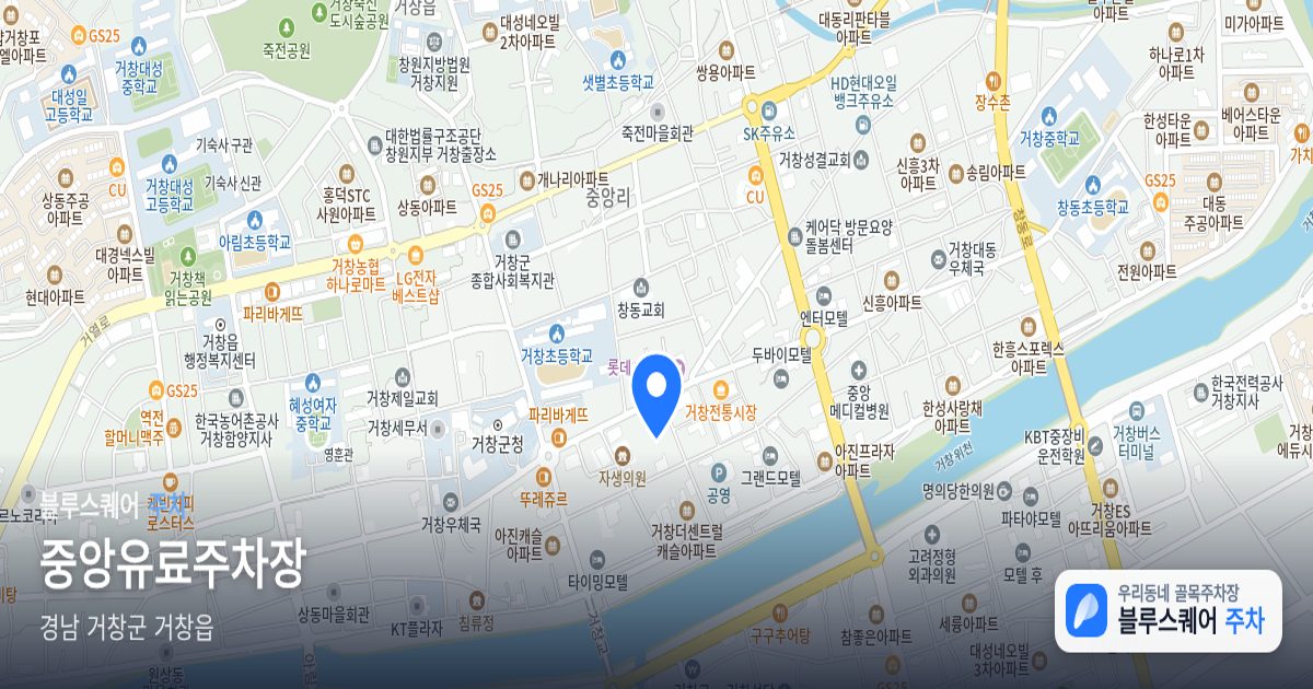 중앙유료주차장 위치 지도