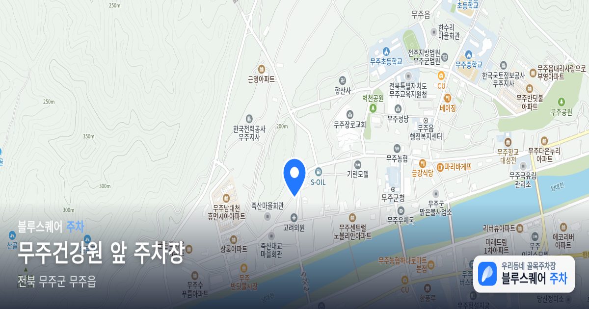 무주건강원 앞 주차장 위치 지도