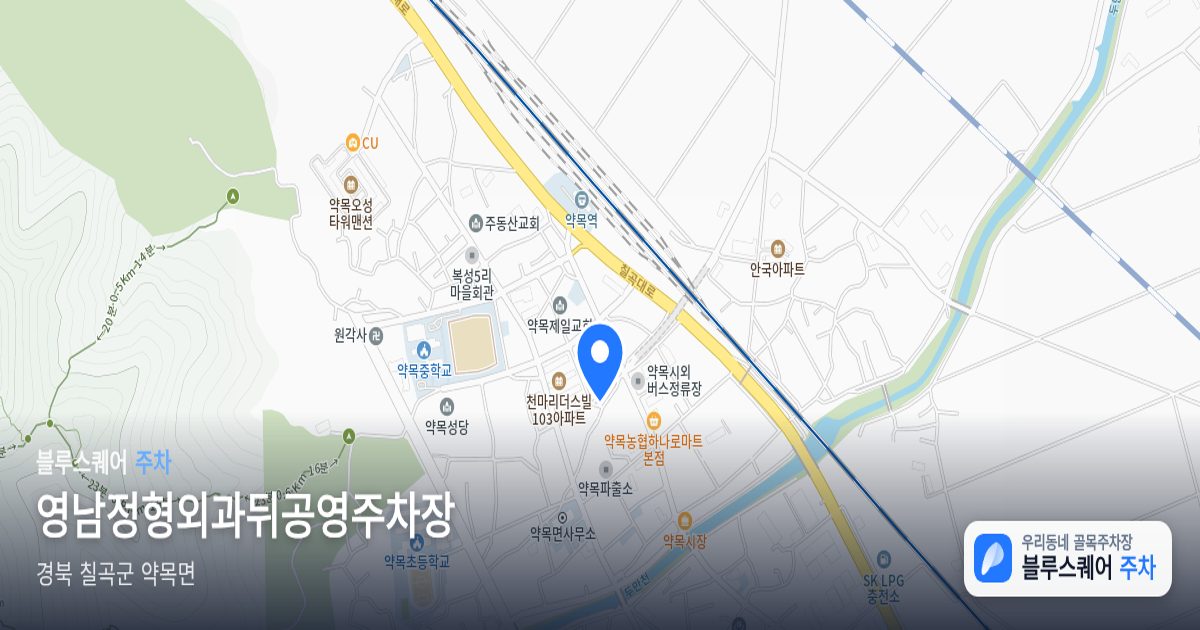 영남정형외과뒤공영주차장 위치 지도