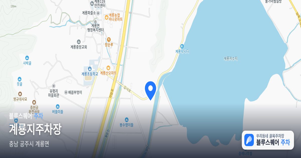 계룡지주차장 위치 지도