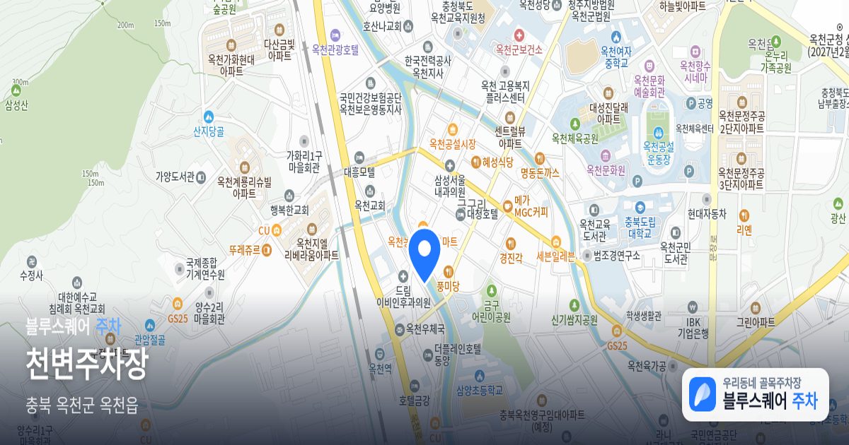 천변주차장 위치 지도