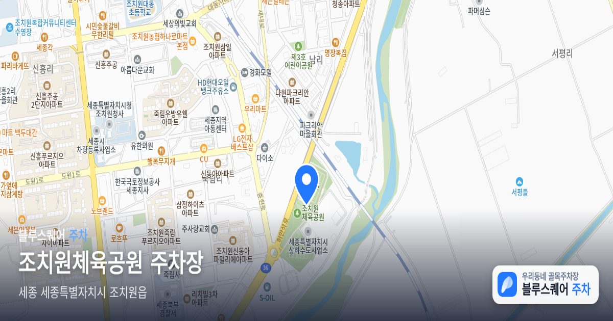조치원체육공원 주차장 위치 지도