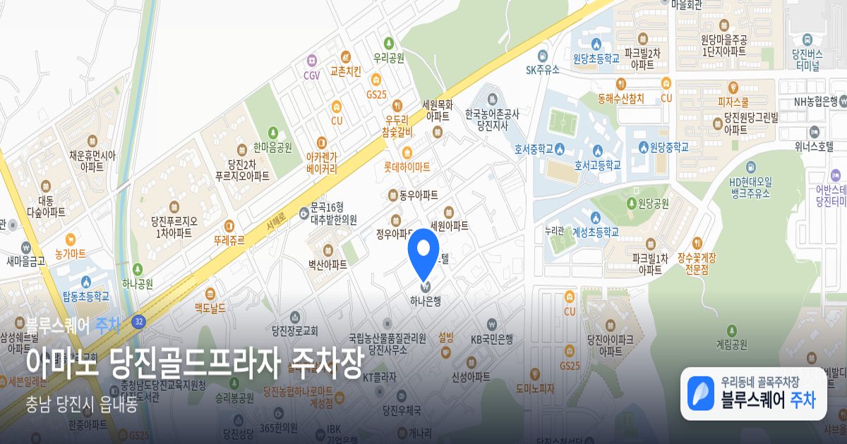 아마노 당진골드프라자 주차장 위치 지도
