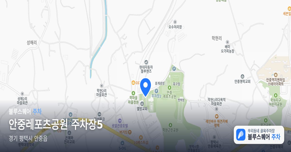 안중레포츠공원 주차장5 위치 지도