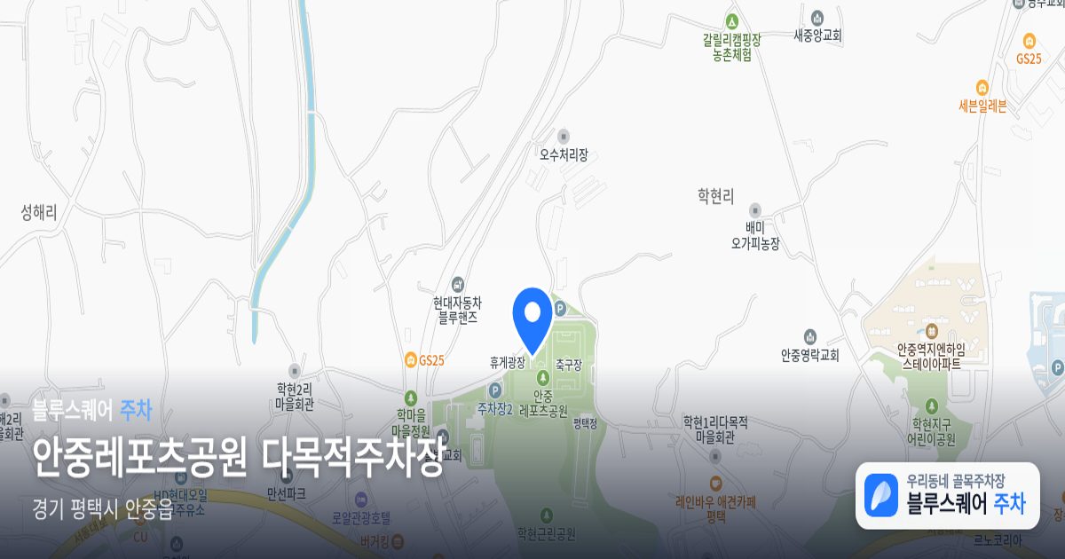 안중레포츠공원 다목적주차장 위치 지도