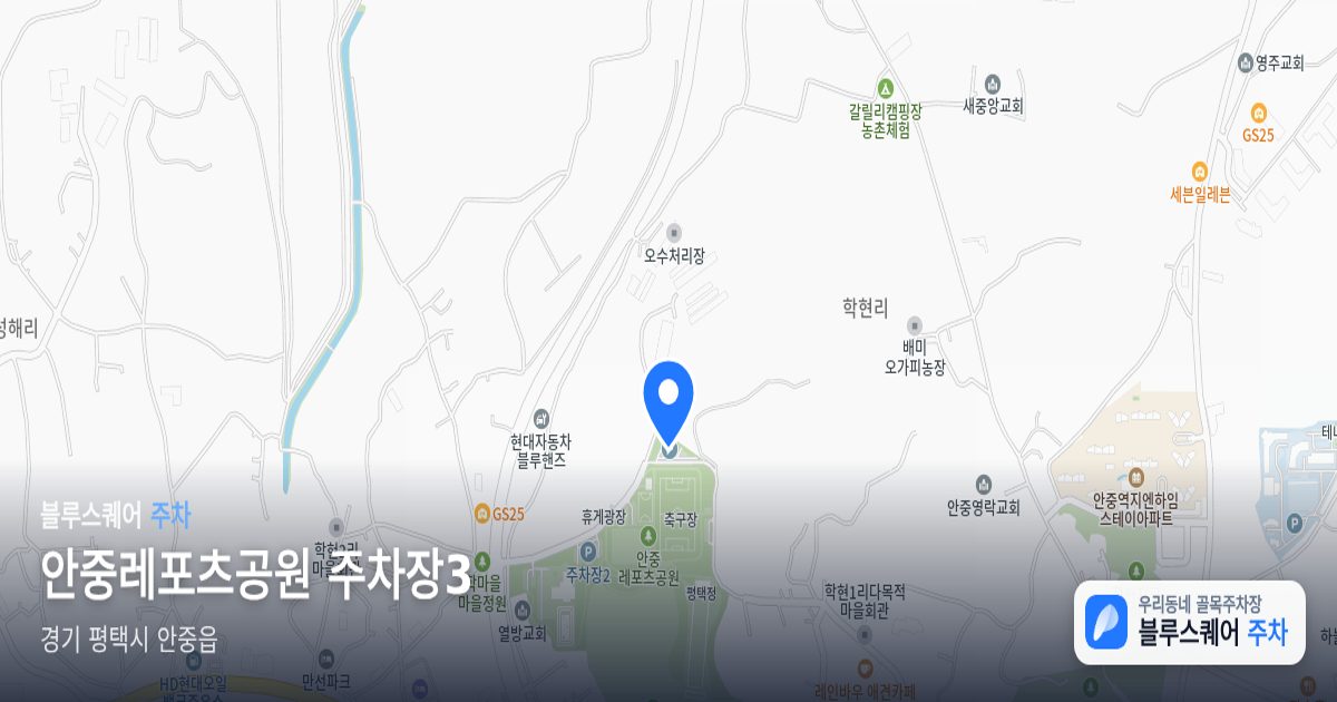 안중레포츠공원 주차장3 위치 지도
