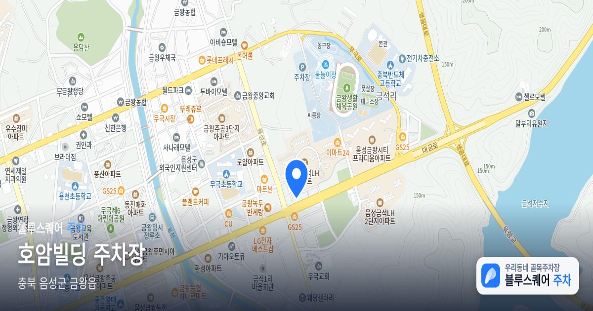 호암빌딩 주차장 위치 지도