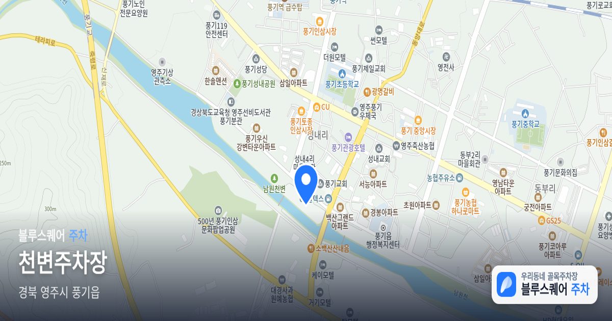 천변주차장 위치 지도