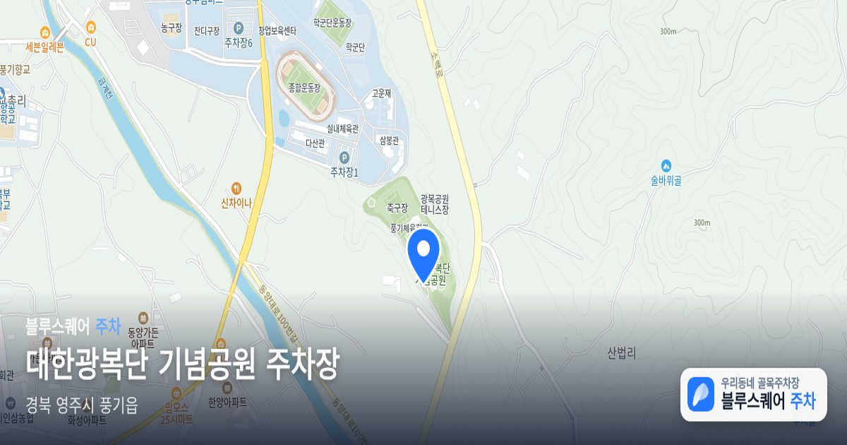 대한광복단 기념공원 주차장 위치 지도