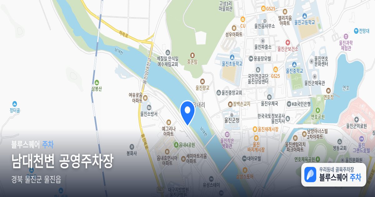 남대천변 공영주차장 위치 지도