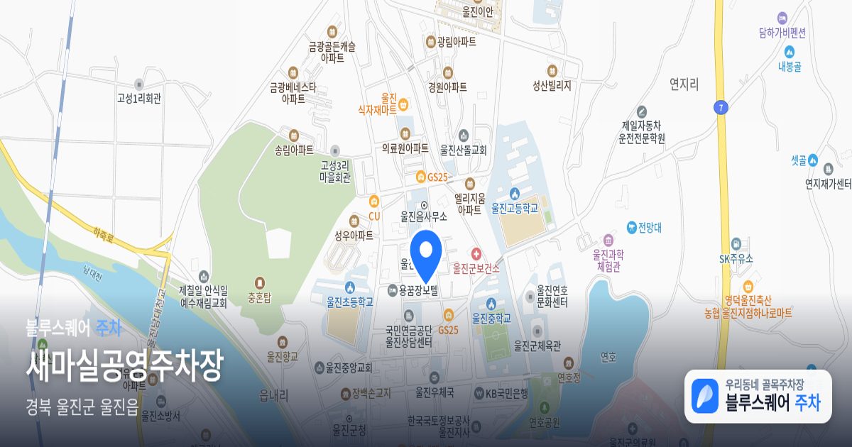 새마실공영주차장 위치 지도