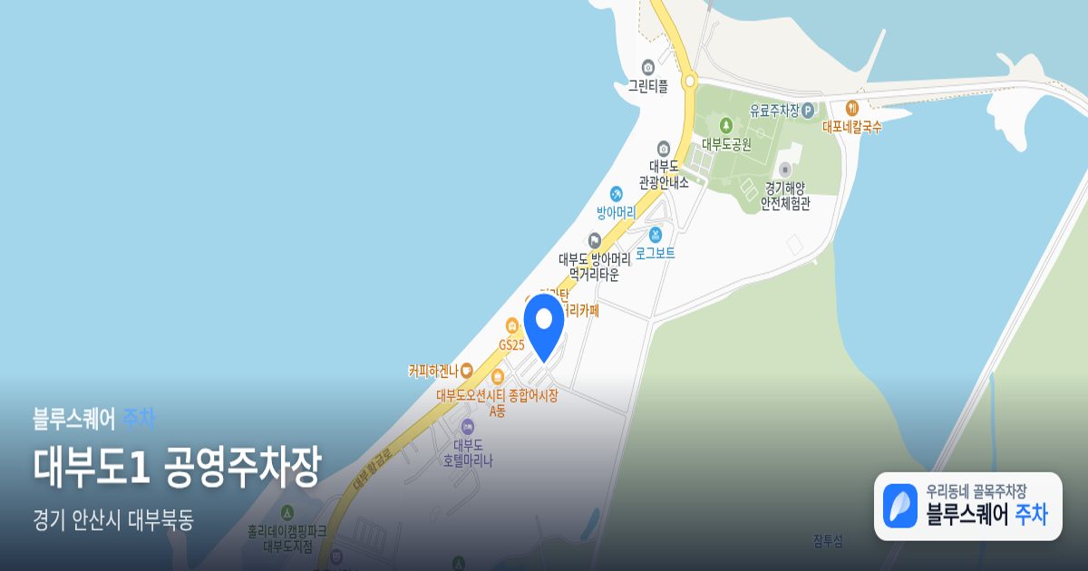 대부도1 공영주차장 위치 지도