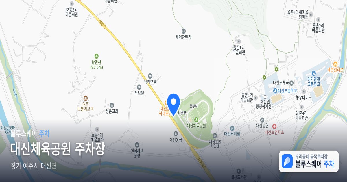 대신체육공원 주차장 위치 지도