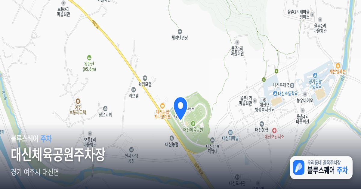 대신체육공원주차장 위치 지도