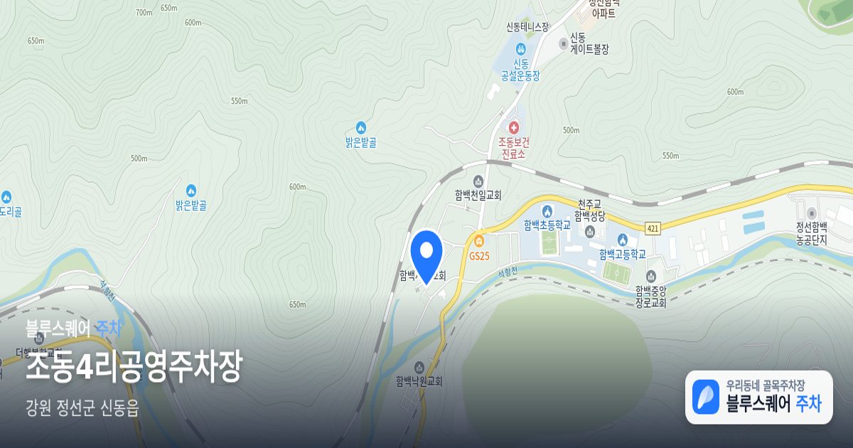 조동4리공영주차장 위치 지도