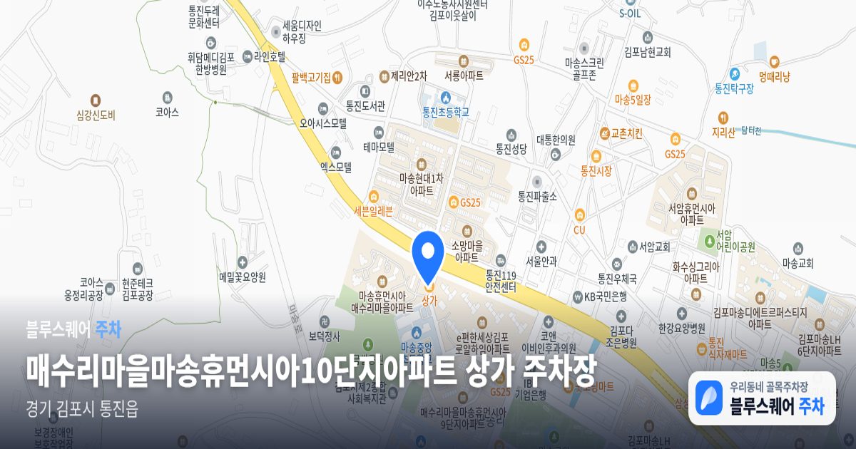 매수리마을마송휴먼시아10단지아파트 상가 주차장 위치 지도