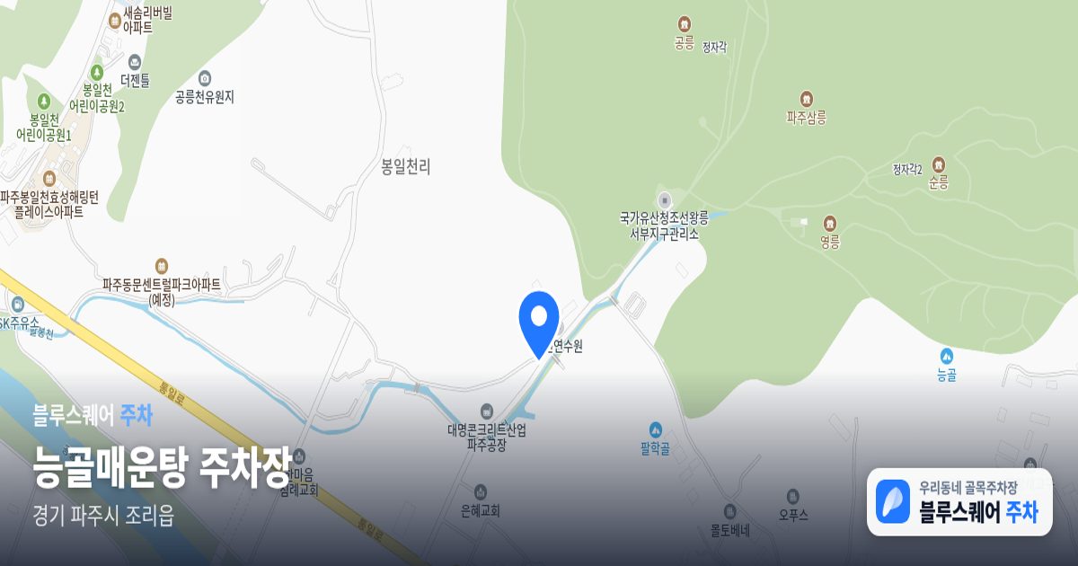 능골매운탕 주차장 위치 지도