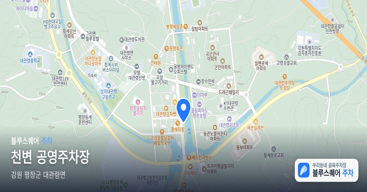 천변 공영주차장 위치 지도