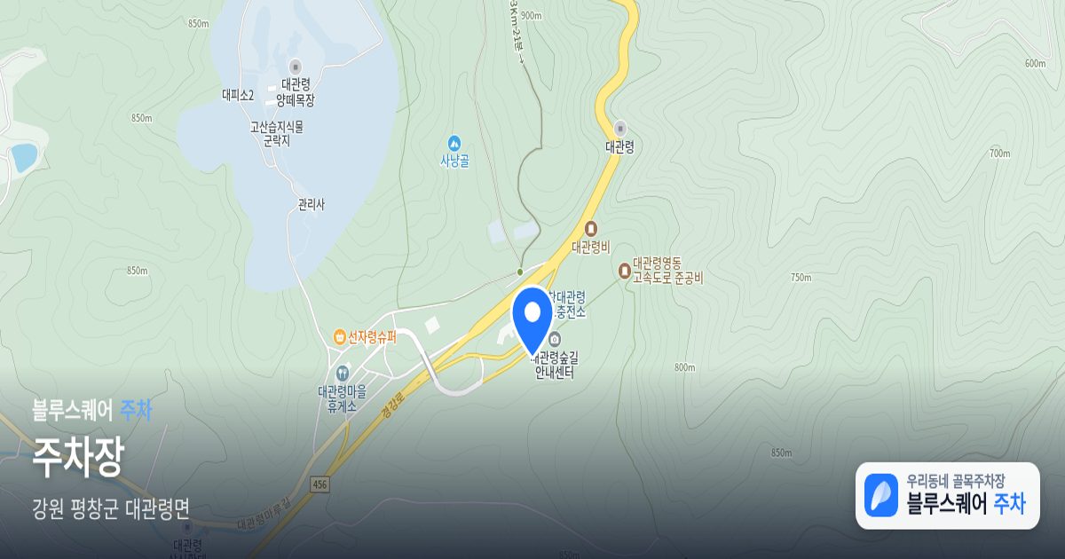 주차장 위치 지도