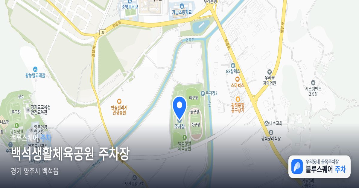 백석생활체육공원 주차장 위치 지도