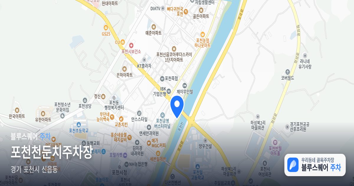포천천둔치주차장 위치 지도