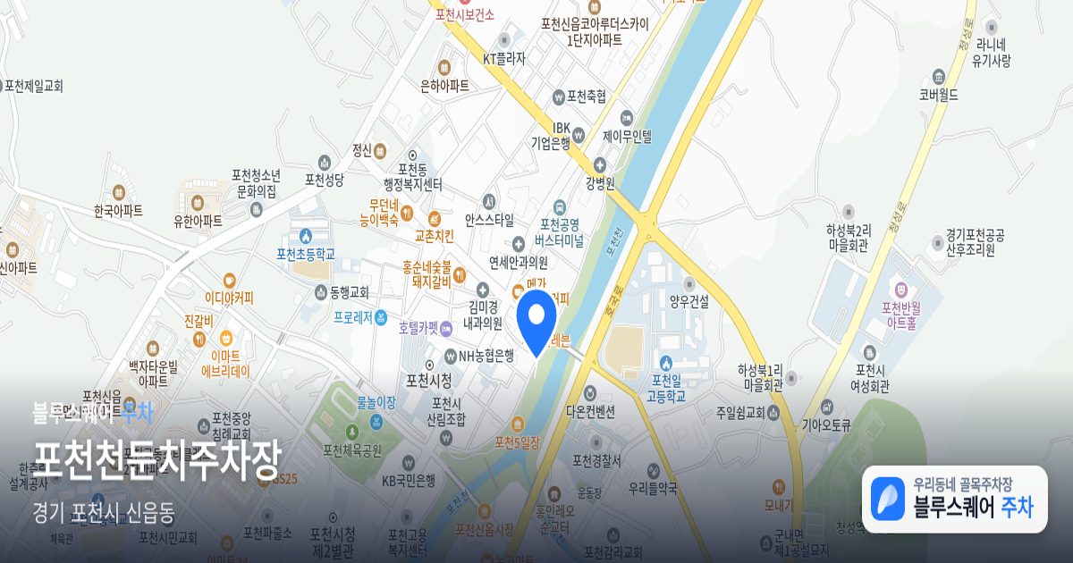 포천천둔치주차장 위치 지도