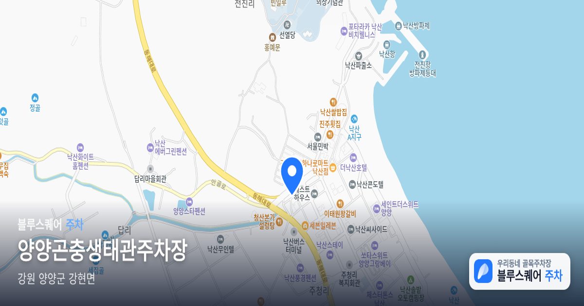 양양곤충생태관주차장 위치 지도